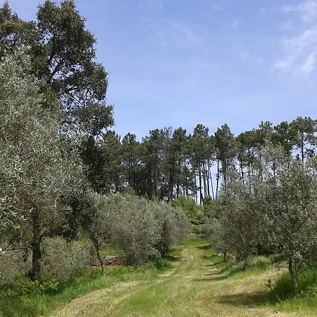 Σπίτι διακοπών Orange Olives - Quinta Chao De Galizes