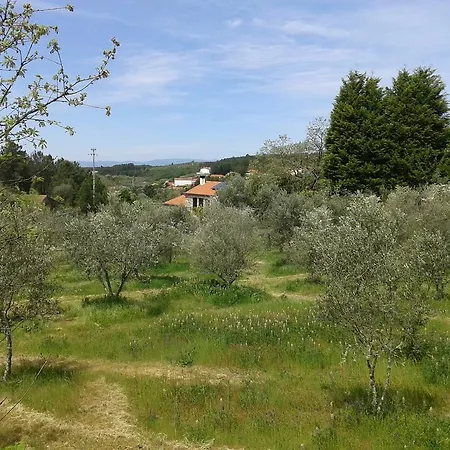 Orange Olives - Quinta Chao De Galizes Σπίτι διακοπών Oliveira do Hospital