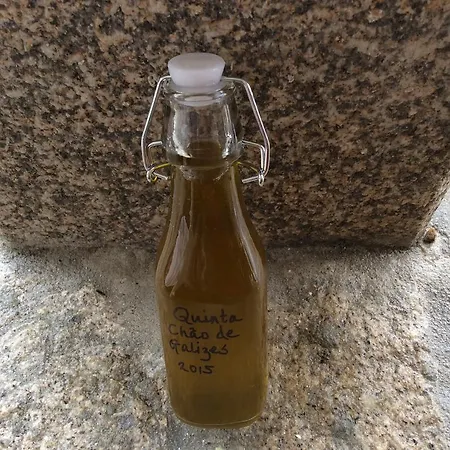 Orange Olives - Quinta Chao De Galizes *